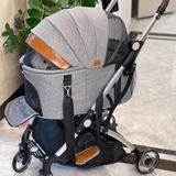 Detachable Pet Stroller Foldable Lightweight with Storage Basket