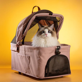 Lightweight Folding Pet Stroller